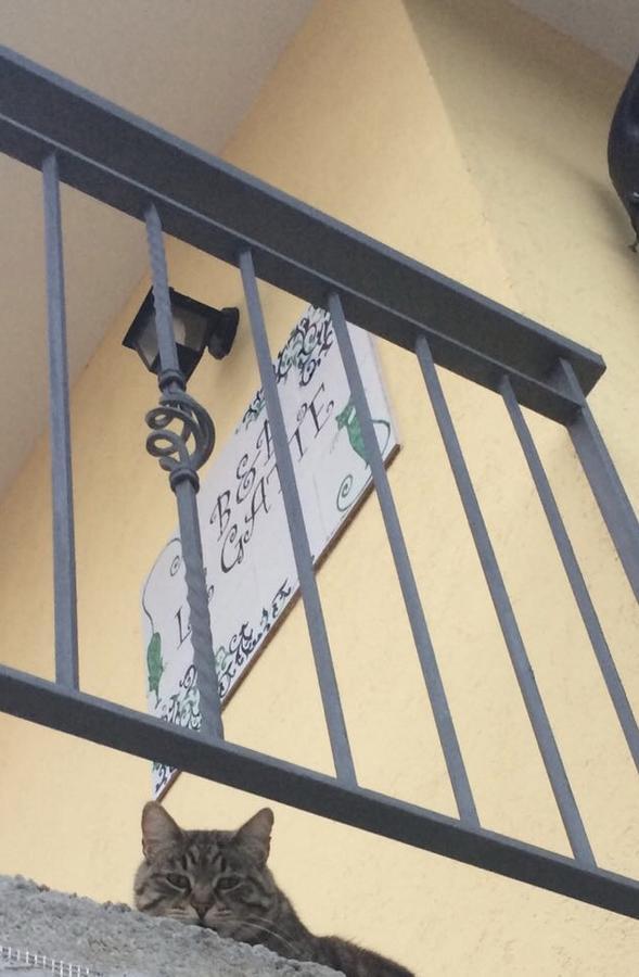 Le Gatte Bed and Breakfast Έμπολι Εξωτερικό φωτογραφία